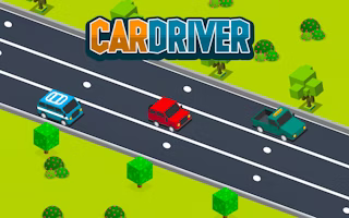 Car Driver