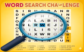 Word Search Challenge